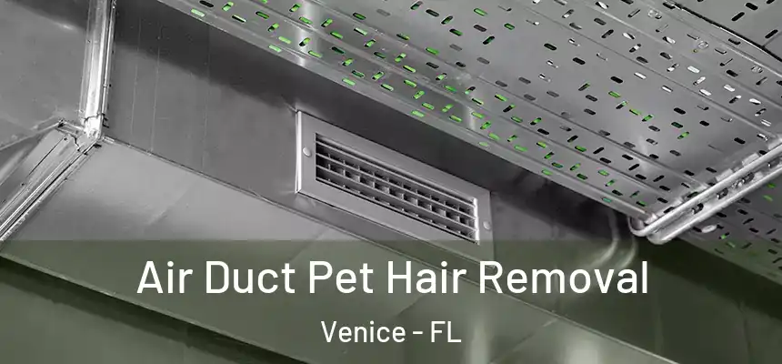  Air Duct Pet Hair Removal Venice - FL
