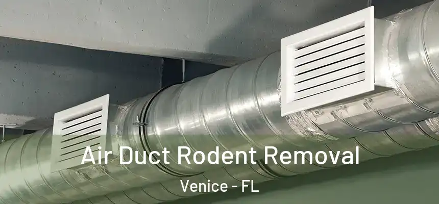  Air Duct Rodent Removal Venice - FL