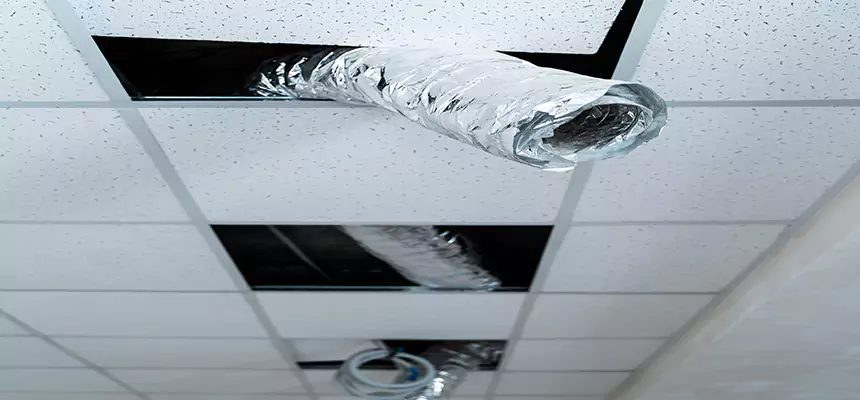 Affordable HVAC Sanitizing After Pest Removal in Venice