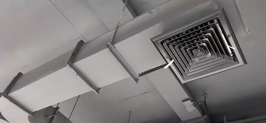 Restorative Allergy Relief Vent Cleaning – Coil, Blower & Housing Detail in Venice