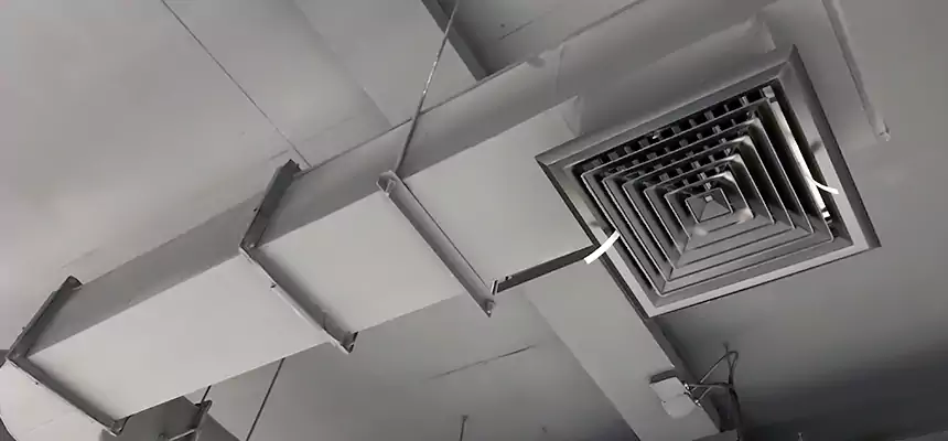 Our Pest Removal From Ducts Services in Venice, FL