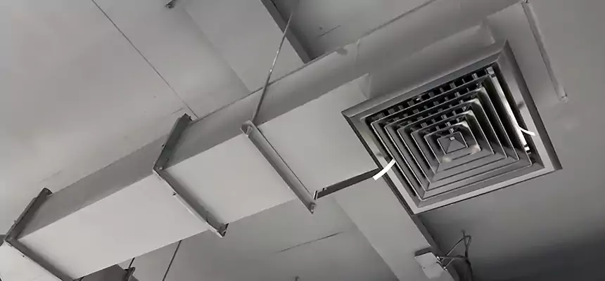 Our Rodent Droppings In Vents Services in Venice, FL