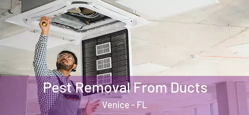  Pest Removal From Ducts Venice - FL