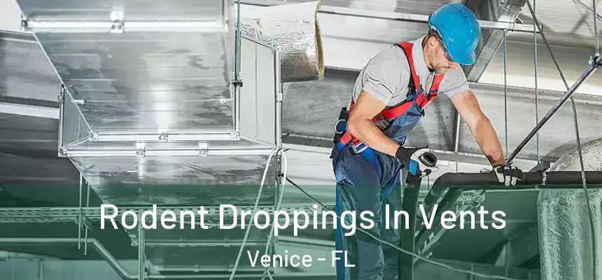  Rodent Droppings In Vents Venice - FL