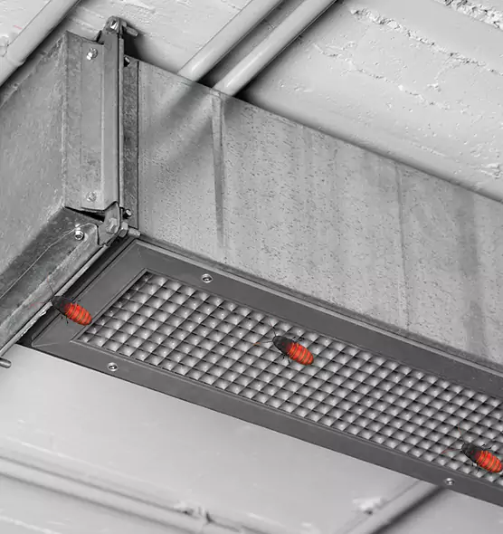 About Air Duct Cockroach Removal in Venice, FL