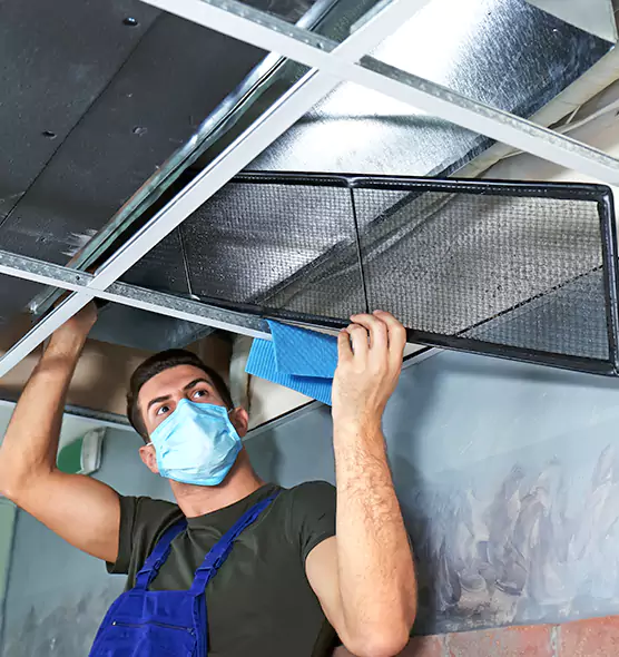 Professional Air Duct Pollen Cleaning in Venice, FL