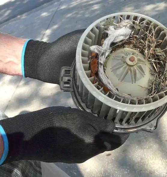 About Air Duct Rat Removal in Venice, FL