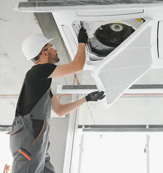 About Air Duct Rodent Removal in Venice, FL