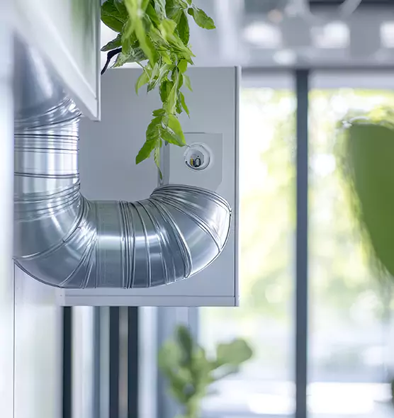 Professional Eco-Safe Dryer Vent Cleaning in Venice, FL