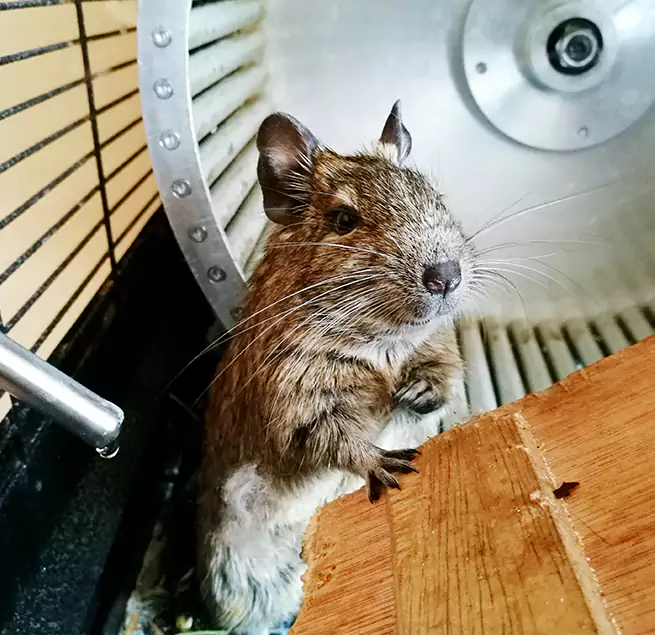 Why Homeowners & Businesses Trust Us Venice, FL?