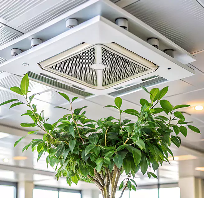 Why Homeowners & Businesses Trust Us in Venice, FL?