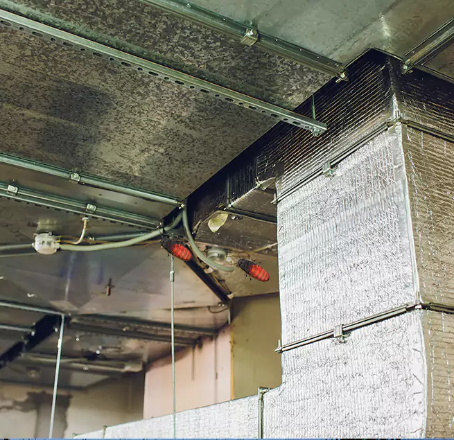 Why Homeowners & Businesses Trust Us Venice, FL?