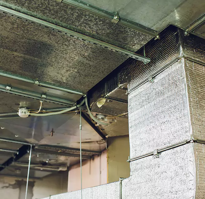 Why Homeowners & Businesses Trust Us in Venice, FL?